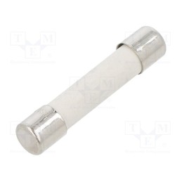 10 pcs : GSA 10-R - Fuse: fuse, time-lag, 10A, 250VAC, cylindrical,glass, brass, GSA