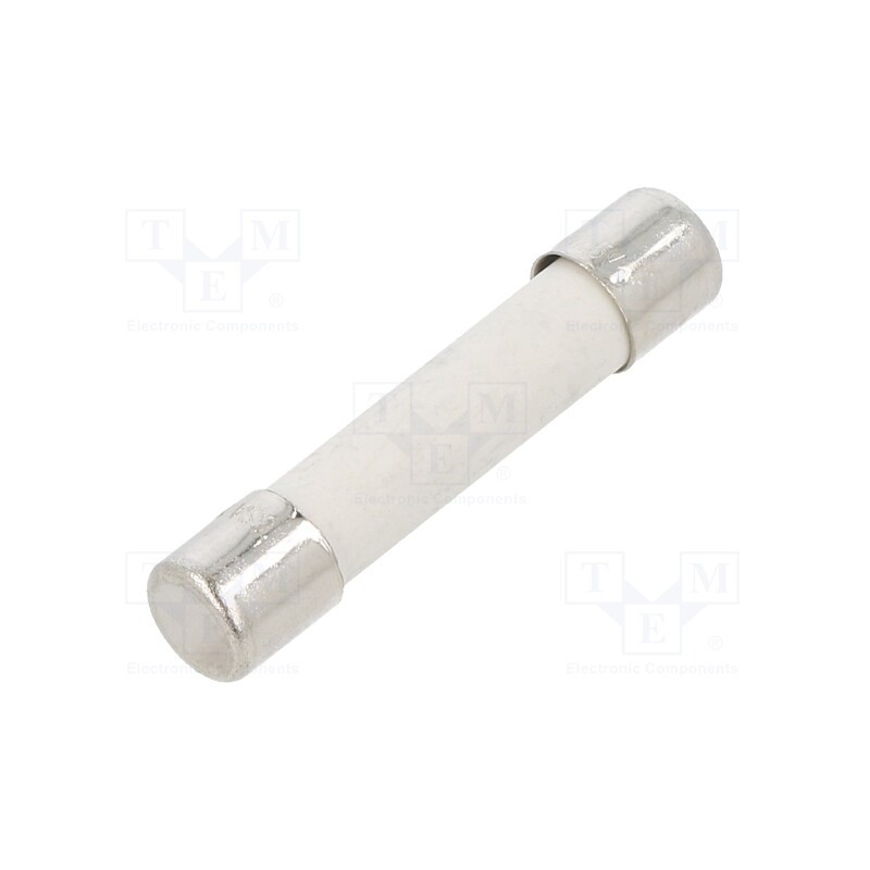 10 pcs : GSA 10-R - Fuse: fuse, time-lag, 10A, 250VAC, cylindrical,glass, brass, GSA