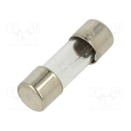 20 pcs : FSE-10A - Fuse: fuse, quick blow, 10A, 250VAC, glass, 5x15mm