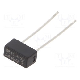 10 pcs : 883220G - Fuse: fuse, time-lag, 2A, 250VAC, TE5, 883.200G