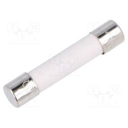 20 pcs : ABE 10A 250V - Fuse: fuse, quick blow, 10A, 250VAC, ceramic,cylindrical, 6.3x32mm