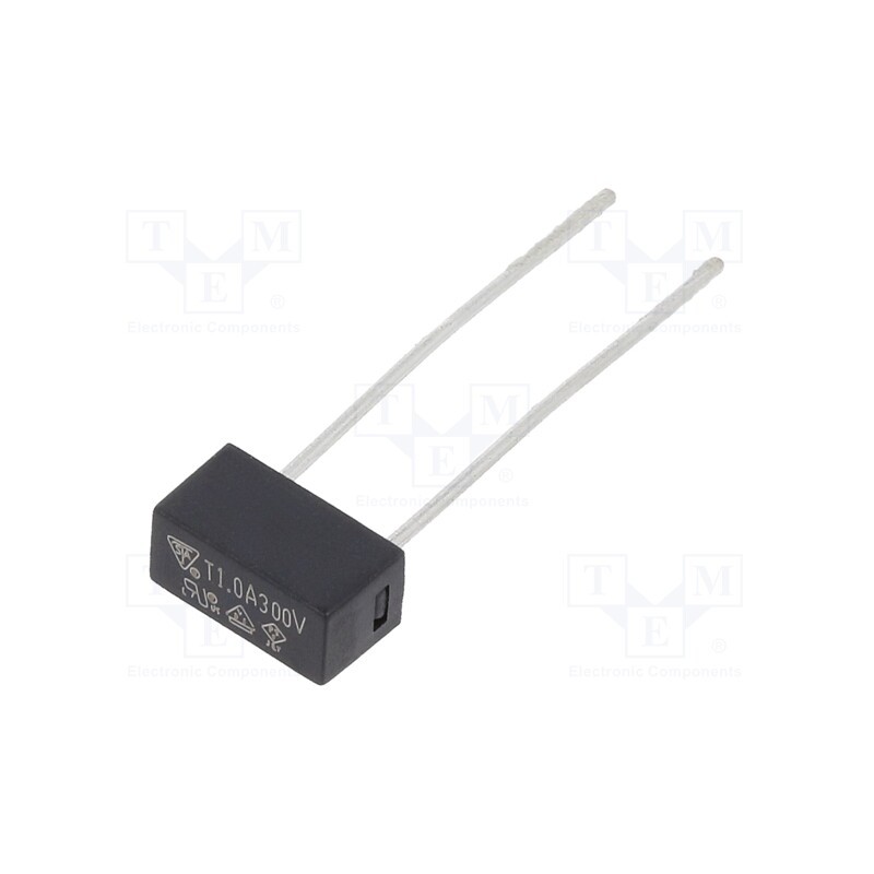 10 pcs : 883317G - Fuse: fuse, time-lag, 1A, 300VAC, TE5, 883.300G