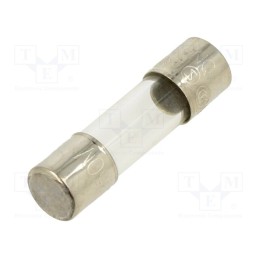10 pcs : FSD-125MA - Fuse: fuse, quick blow, 125mA, 250VAC, glass, 5x20mm, brass, bulk