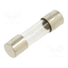 10 pcs : FSD-160MA - Fuse: fuse, quick blow, 160mA, 250VAC, glass, 5x20mm, brass, bulk