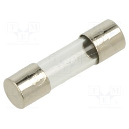 10 pcs : FSC-315MA - Fuse: fuse, quick blow, 315mA, 250VAC, glass, 5x20mm, bulk