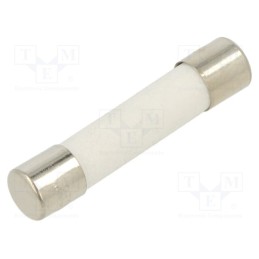 10 pcs : FCA-350MA - Fuse: fuse, quick blow, 350mA, 250VAC, ceramic, 6.3x32mm, brass