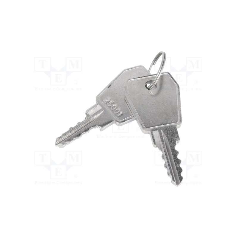 10 pcs : KL25001 - Key, Key code: 25001, Z-2106-25001-22