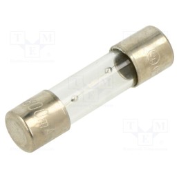 20 pcs : TSC-800MA - Fuse: fuse, time-lag, 800mA, 250VAC, glass, 5x20mm, brass, TSC, bulk