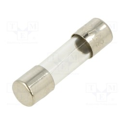 10 pcs : FSC-250MA - Fuse: fuse, quick blow, 250mA, 250VAC, glass, 5x20mm, bulk