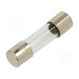 10 pcs : FSC-200MA - Fuse: fuse, quick blow, 200mA, 250VAC, glass, 5x20mm, bulk