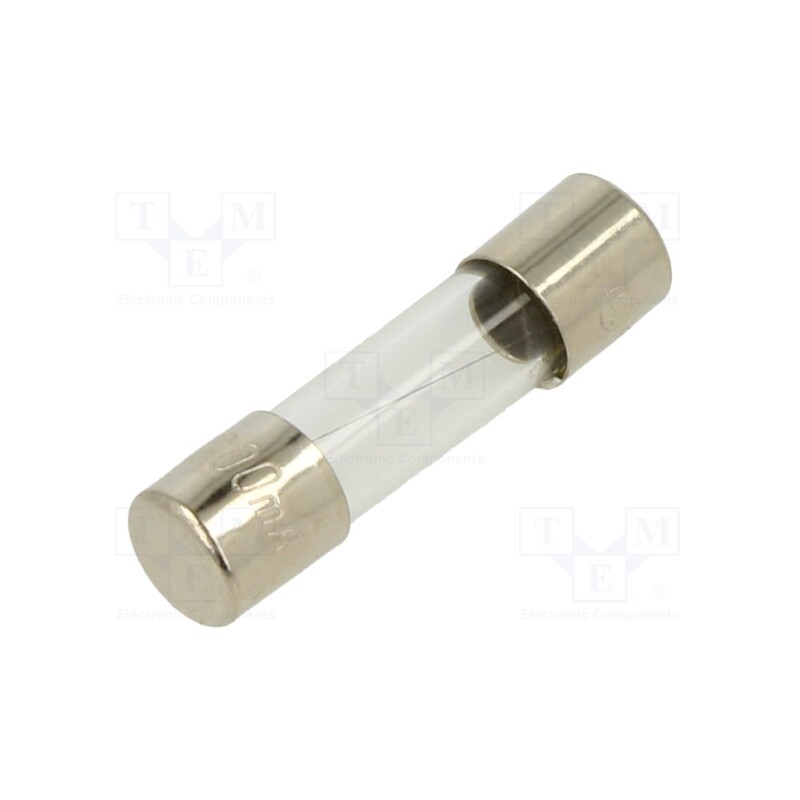 10 pcs : FSC-200MA - Fuse: fuse, quick blow, 200mA, 250VAC, glass, 5x20mm, bulk