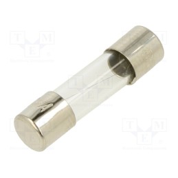 10 pcs : FSC-160MA - Fuse: fuse, quick blow, 160mA, 250VAC, glass, 5x20mm, bulk