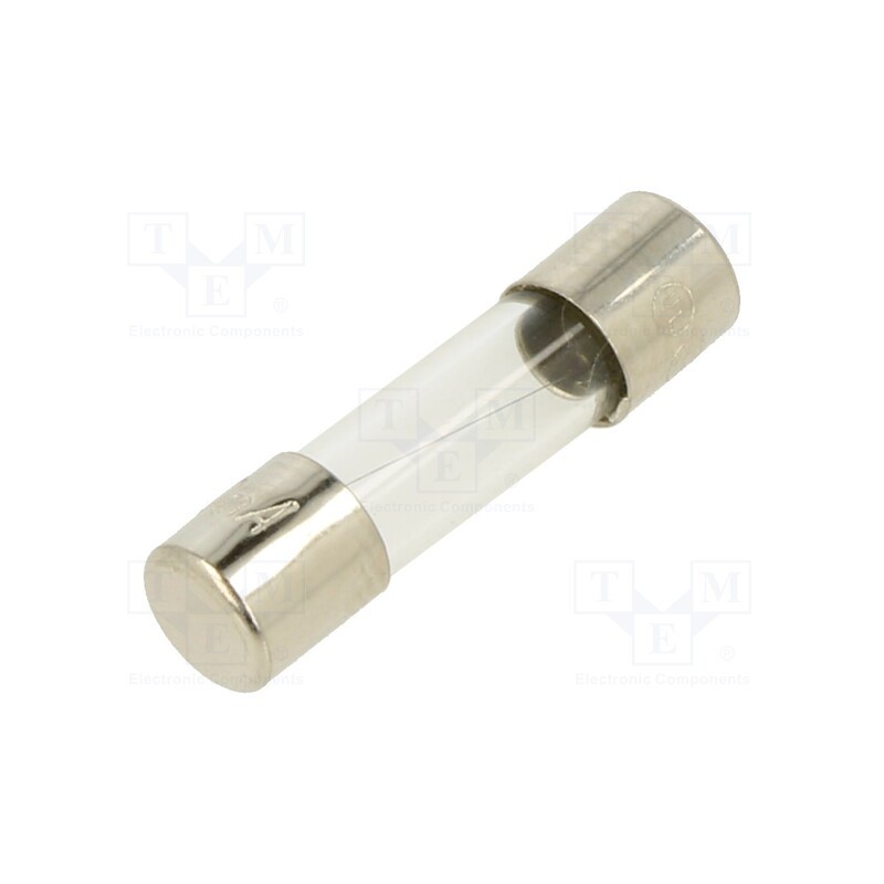 10 pcs : FSC-160MA - Fuse: fuse, quick blow, 160mA, 250VAC, glass, 5x20mm, bulk