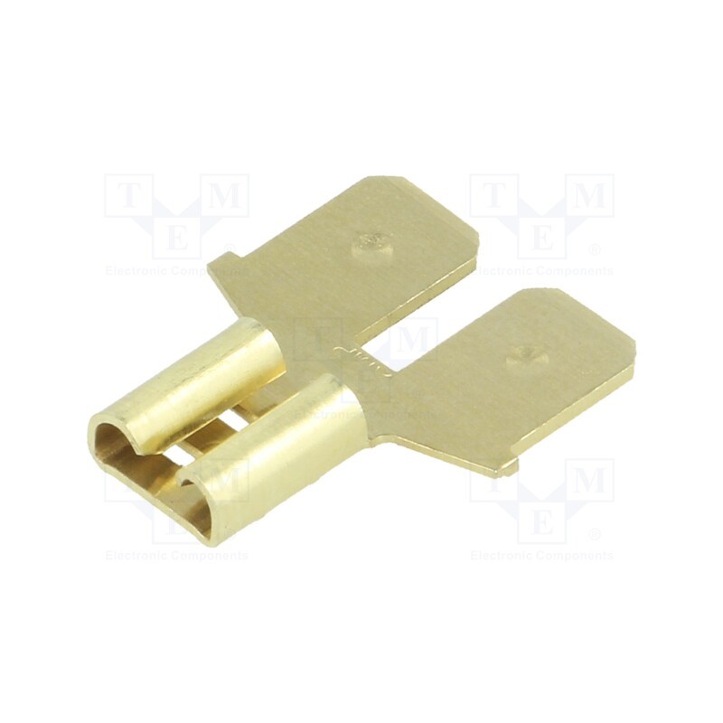 10 pcs : 61765-1 - Terminal: flat, 6.3mm, 0.8mm, 1 x female,2 x male, none, brass