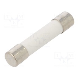 10 pcs : FCA-500MA - Fuse: fuse, quick blow, 500mA, 250VAC, ceramic, 6.3x32mm, brass