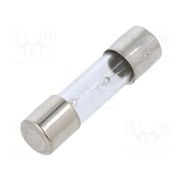 20 pcs : TSC-6A - Fuse: fuse, time-lag, 6A, 250VAC, glass, 5x20mm, brass, TSC, bulk