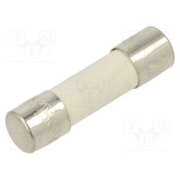 10 pcs : FCD-800MA - Fuse: fuse, quick blow, 800mA, 250VAC, ceramic, 5x20mm, brass, FCD