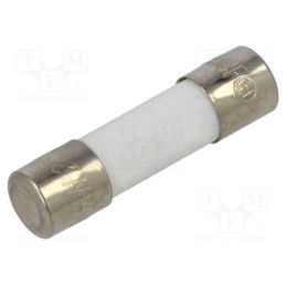 10 pcs : FCD-16A - Fuse: fuse, quick blow, 16A, 250VAC, ceramic, 5x20mm, brass, FCD
