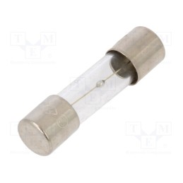 20 pcs : TSC-2A - Fuse: fuse, time-lag, 2A, 250VAC, glass, 5x20mm, brass, TSC, bulk