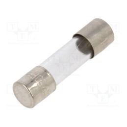 20 pcs : FSD-1A - Fuse: fuse, quick blow, 1A, 250VAC, glass, 5x20mm, brass, bulk