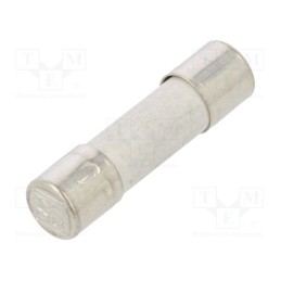 10 pcs : 522610 - Fuse: fuse, time-lag, 200mA, 250VAC, ceramic,cylindrical, 5x20mm