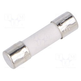 10 pcs : UDE 800MA 500V - Fuse: fuse, time-lag, 800mA, 500VAC, ceramic,cylindrical, 5x20mm