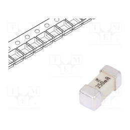 10 pcs : 0453.250MR - Fuse: fuse, ultra rapid, 250mA, 125VAC, 125V, 125VDC, SMD, ceramic