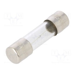 20 pcs : TSD-1A - Fuse: fuse, time-lag, 1A, 250VAC, glass, 5x20mm, brass, bulk