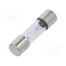 20 pcs : TSC-10A - Fuse: fuse, time-lag, 10A, 250VAC, glass, 5x20mm, brass, TSC, bulk