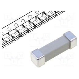 20 pcs : 160016.0,5 - Fuse: fuse, time-lag, 500mA, 250V, SMD, ceramic, 16x4.5x4.5mm