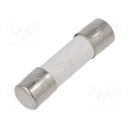 10 pcs : FCD-250MA - Fuse: fuse, quick blow, 250mA, 250VAC, ceramic, 5x20mm, brass, FCD