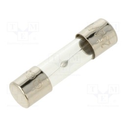 20 pcs : MSC-10A - Fuse: fuse, medium time-lag, 10A, 250VAC, glass, 5x20mm, brass, bulk