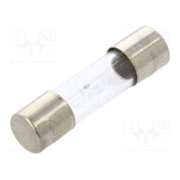 20 pcs : MSC-750MA - Fuse: fuse, medium time-lag, 750mA, 250VAC, glass, 5x20mm, brass