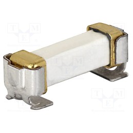 10 pcs : 3404.2422.11 - Fuse: fuse, time-lag, 4A, 250VAC, 125VDC, SMD, ceramic, copper