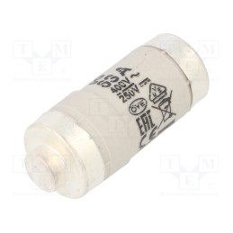 10 pcs : 2212005 - Fuse: fuse, gG, 63A, 400VAC, 250VDC, ceramic, D02, D0