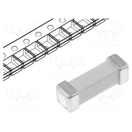 10 pcs : 04611.25ER - Fuse: fuse, time-lag, 1.25A, 600VAC, SMD, ceramic, 10.1x3.12x3.12mm