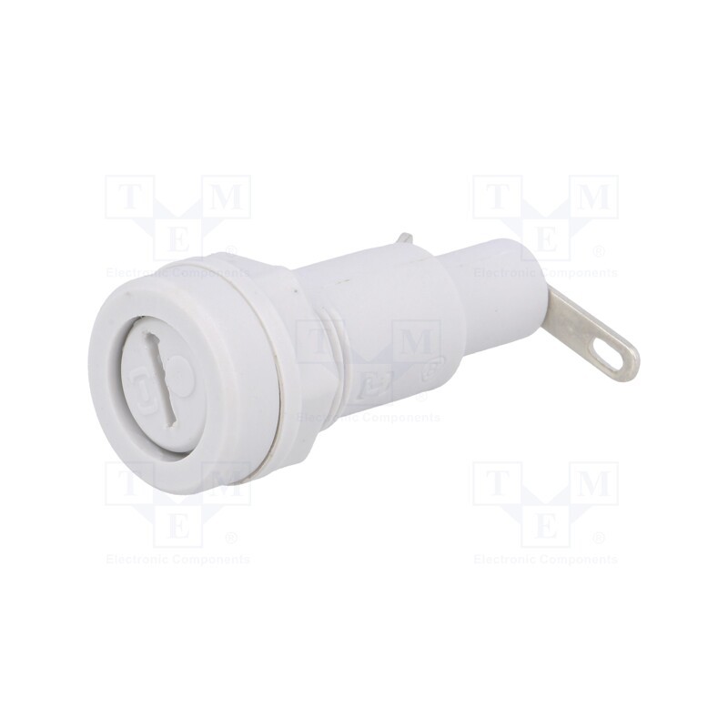 10 pcs : - - Fuse holder, cylindrical fuses, 5x20mm, 10A, 250V, on panel