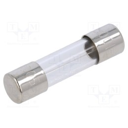 20 pcs : 34.2516 - Fuse: fuse, medium time-lag, 1A, 250VAC, cylindrical,glass, 5x20mm