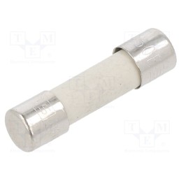20 pcs : 34.2522 - Fuse: fuse, medium time-lag, 4A, 250VAC, ceramic,cylindrical, FSM