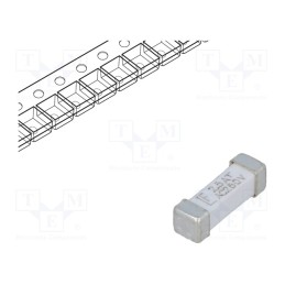 10 pcs : 044302.5DR - Fuse: fuse, time-lag, 2.5A, 250VAC, 250V, 125VDC, SMD, ceramic, 443