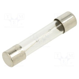 20 pcs : TSA-1.6A - Fuse: fuse, time-lag, 1.6A, 250VAC, glass, 6.3x32mm, brass, TSA