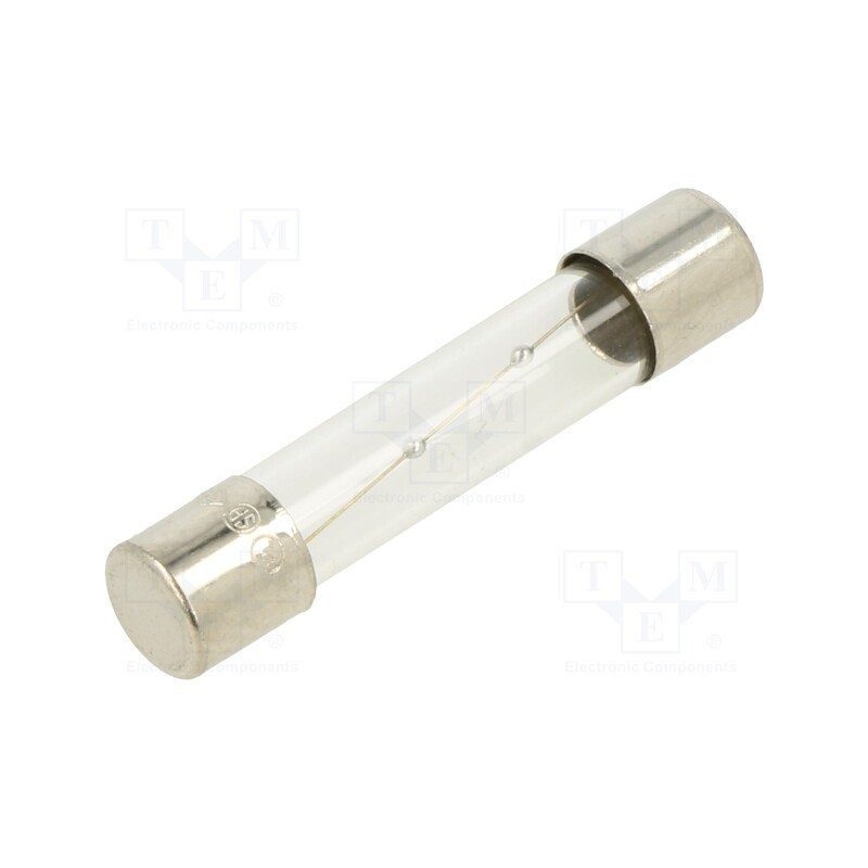 20 pcs : TSA-1.6A - Fuse: fuse, time-lag, 1.6A, 250VAC, glass, 6.3x32mm, brass, TSA