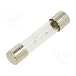 20 pcs : TSA-4A - Fuse: fuse, time-lag, 4A, 250VAC, glass, 6.3x32mm, brass, TSA