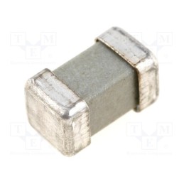 10 pcs : 160000.0,08 - Fuse: fuse, time-lag, 80mA, 250V, SMD, ceramic, 8x4.5x4.5mm, brass