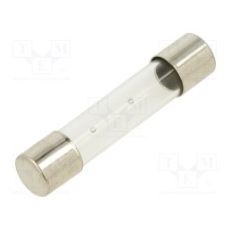 20 pcs : TSA-800MA - Fuse: fuse, time-lag, 800mA, 250VAC, glass, 6.3x32mm, brass, TSA