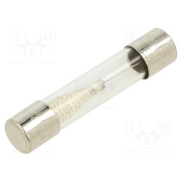 20 pcs : TSA-750MA - Fuse: fuse, time-lag, 750mA, 250VAC, glass, 6.3x32mm, brass, TSA