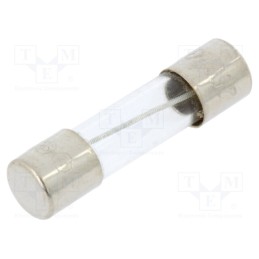 20 pcs : MSC-315MA - Fuse: fuse, medium time-lag, 315mA, 250VAC, glass, 5x20mm, brass