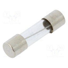 20 pcs : MSC-300MA - Fuse: fuse, medium time-lag, 300mA, 250VAC, glass, 5x20mm, brass