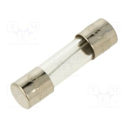 20 pcs : MSC-200MA - Fuse: fuse, medium time-lag, 200mA, 250VAC, glass, 5x20mm, brass