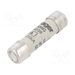 10 pcs : LF306G - Fuse: fuse, gG,time-lag, 6A, 500VAC, cylindrical,industrial